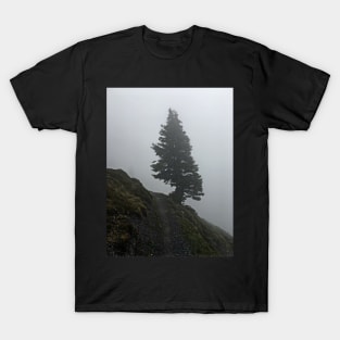 Solitary tree on a misty mountain top T-Shirt